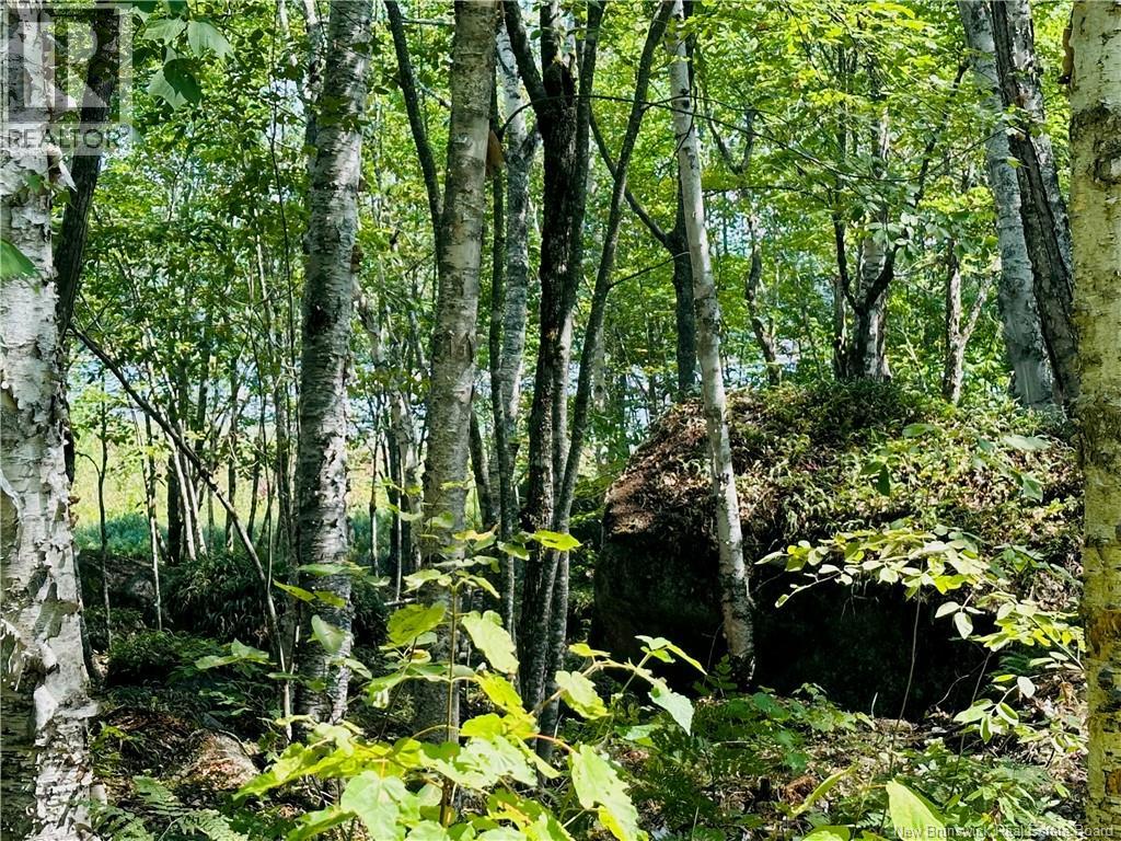 0 Second Eel River Lane, Eel River Lake, New Brunswick  E6H 0A4 - Photo 24 - NB110467