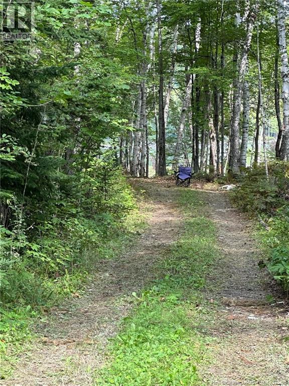 0 Second Eel River Lane, Eel River Lake, New Brunswick  E6H 0A4 - Photo 7 - NB110467