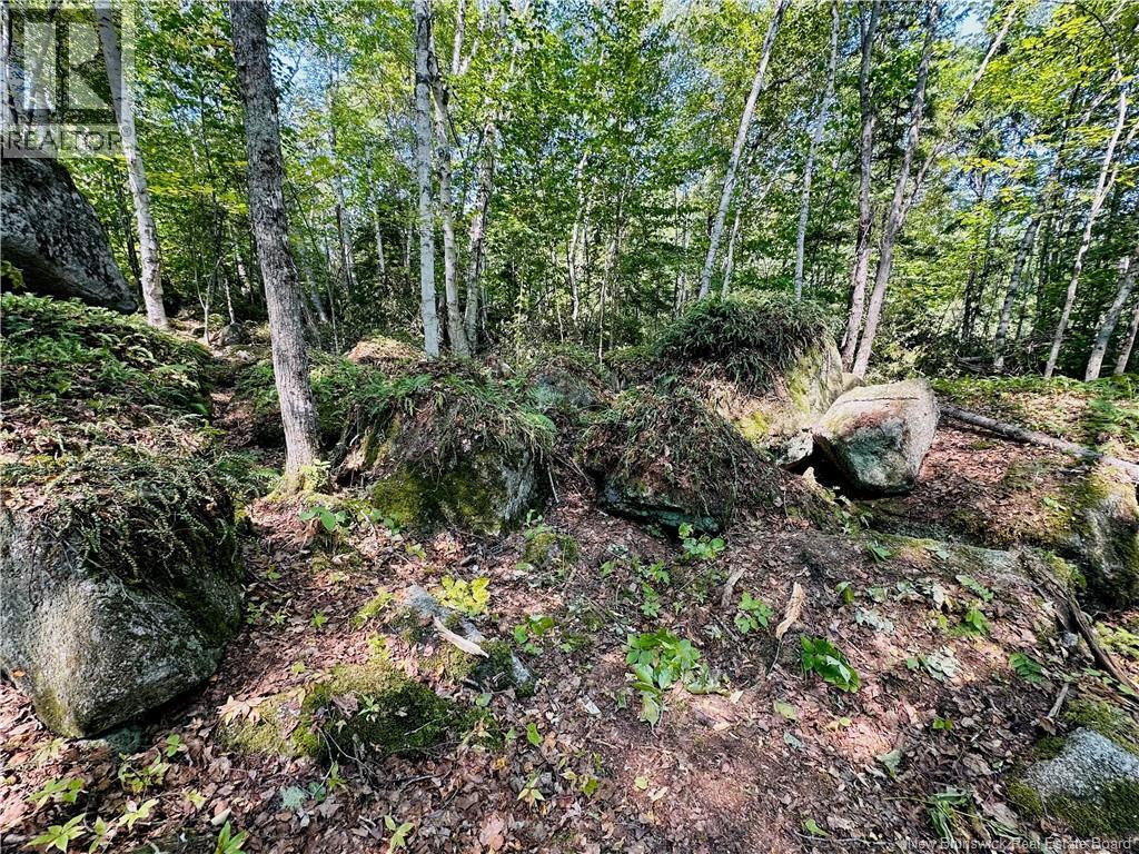 0 Second Eel River Lane, Eel River Lake, New Brunswick  E6H 0A4 - Photo 15 - NB110467