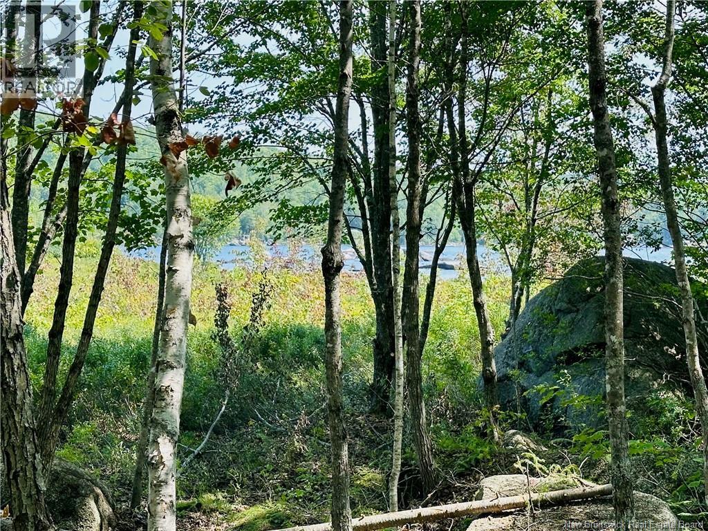 0 Second Eel River Lane, Eel River Lake, New Brunswick  E6H 0A4 - Photo 12 - NB110467