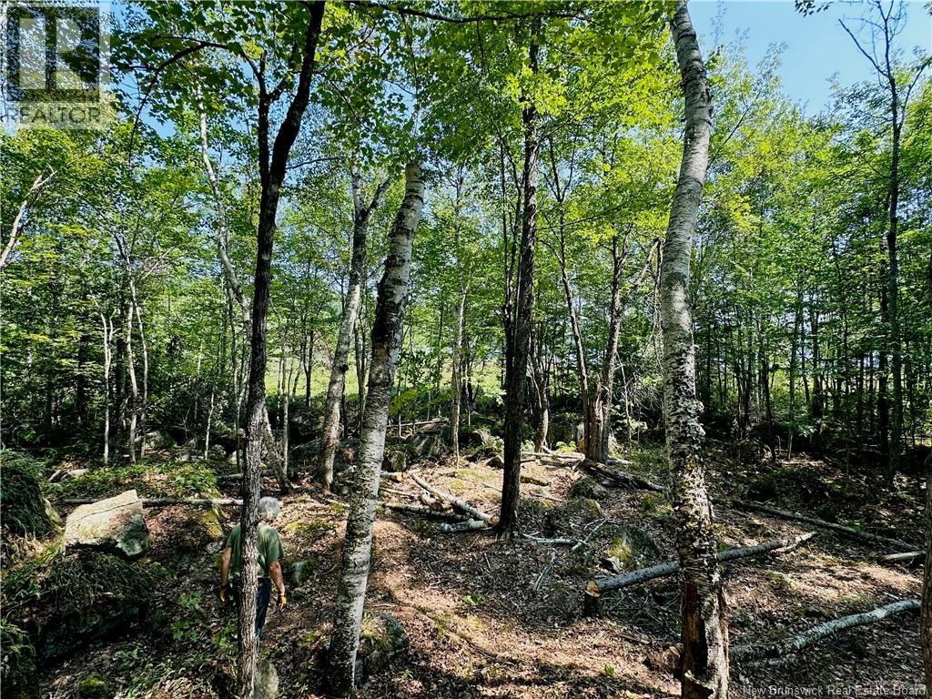 0 Second Eel River Lane, Eel River Lake, New Brunswick  E6H 0A4 - Photo 18 - NB110467