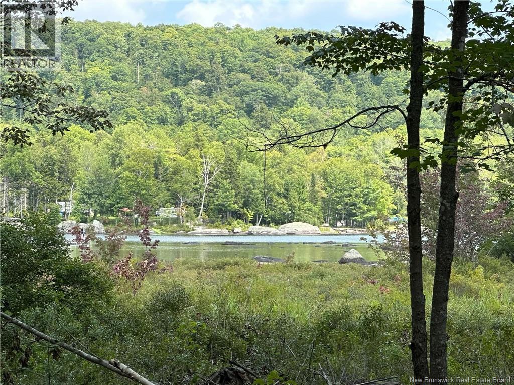0 Second Eel River Lane, Eel River Lake, New Brunswick  E6H 0A4 - Photo 9 - NB110467
