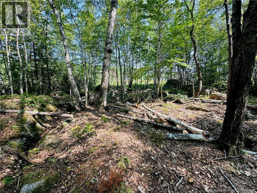 0 Second Eel River Lane, Eel River Lake, New Brunswick  E6H 0A4 - Photo 11 - NB110467