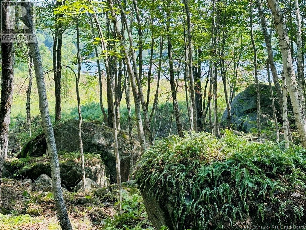 0 Second Eel River Lane, Eel River Lake, New Brunswick  E6H 0A4 - Photo 16 - NB110467