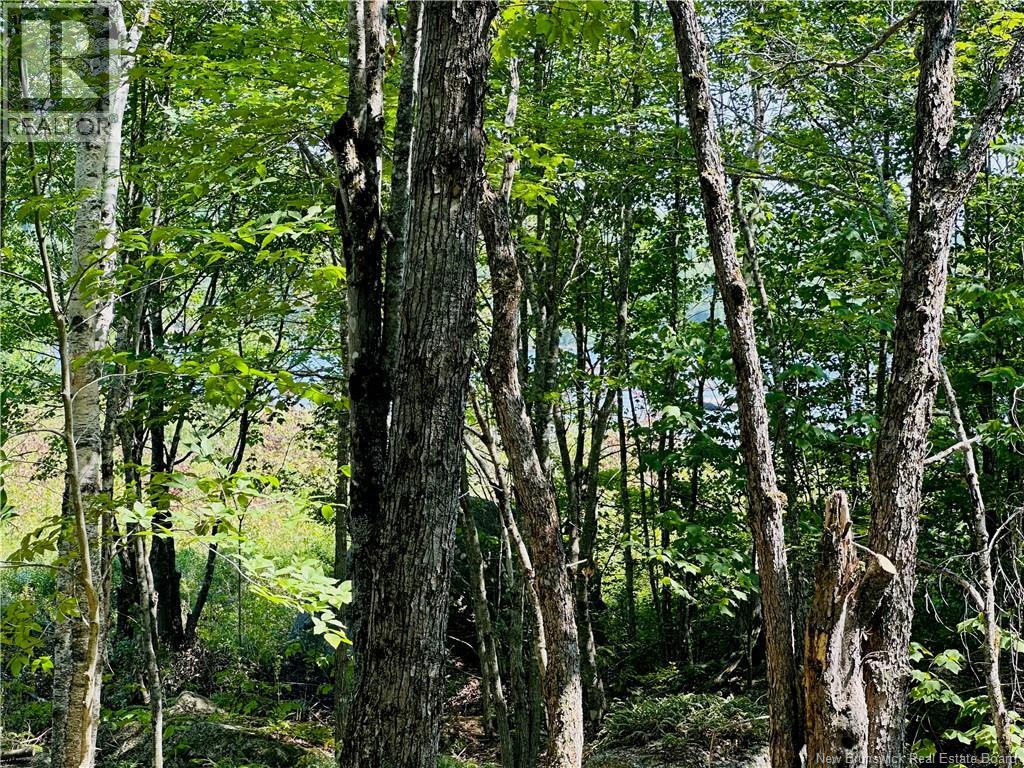 0 Second Eel River Lane, Eel River Lake, New Brunswick  E6H 0A4 - Photo 19 - NB110467