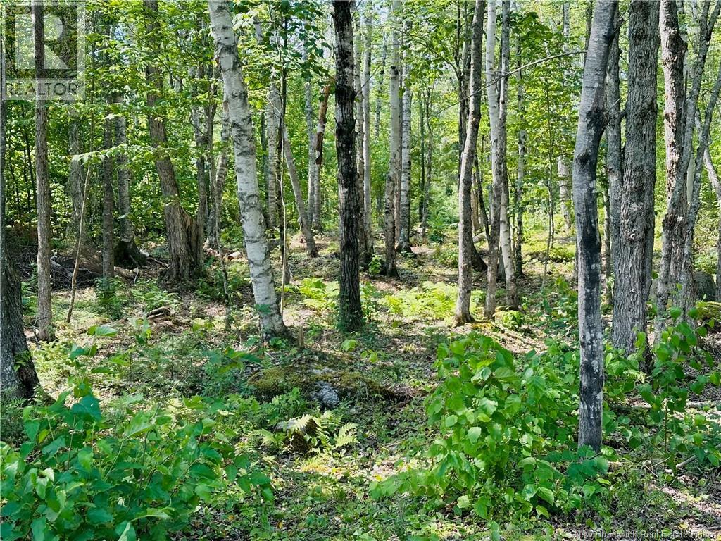 0 Second Eel River Lane, Eel River Lake, New Brunswick  E6H 0A4 - Photo 14 - NB110467