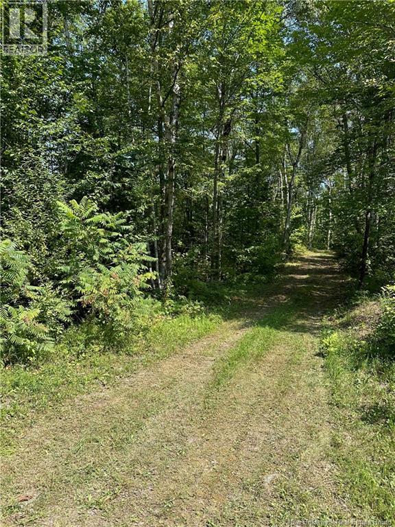 0 Second Eel River Lane, Eel River Lake, New Brunswick  E6H 0A4 - Photo 25 - NB110467