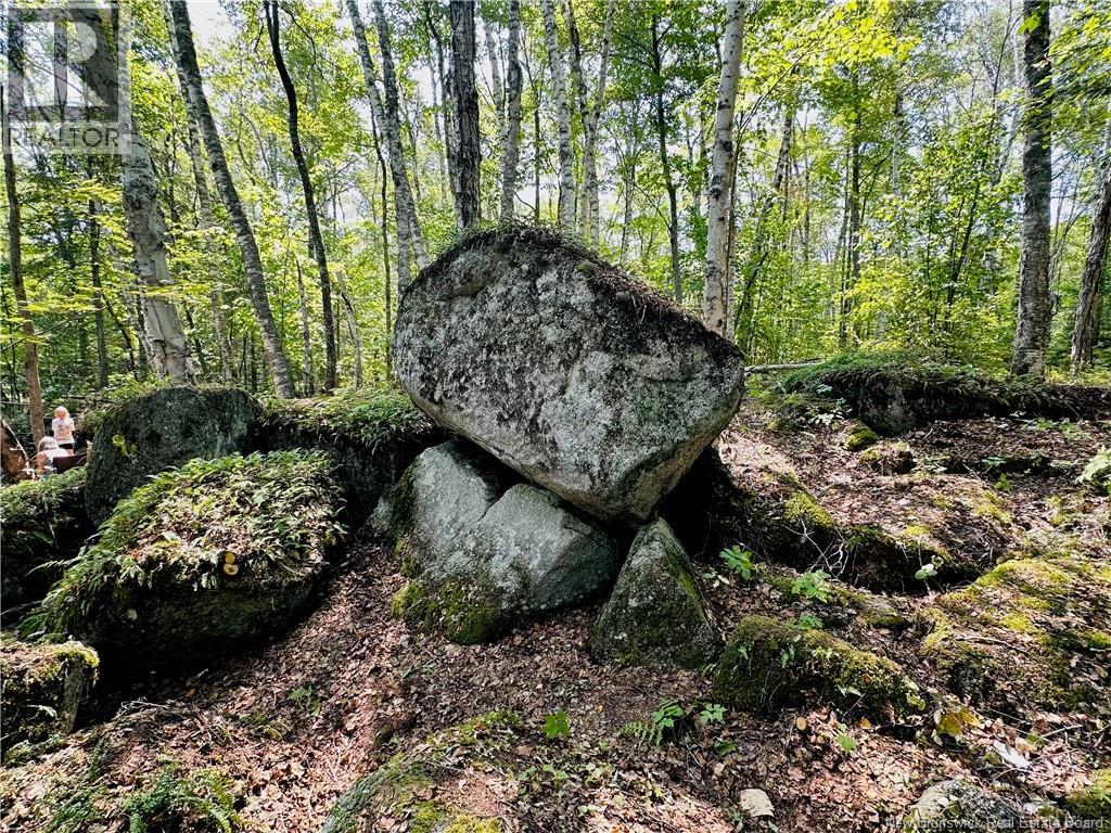 0 Second Eel River Lane, Eel River Lake, New Brunswick  E6H 0A4 - Photo 17 - NB110467