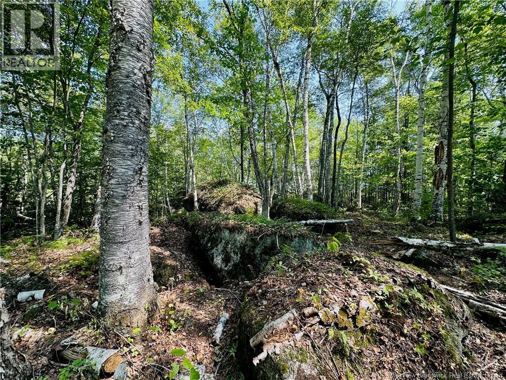 0 Second Eel River Lane, Eel River Lake, New Brunswick  E6H 0A4 - Photo 23 - NB110467
