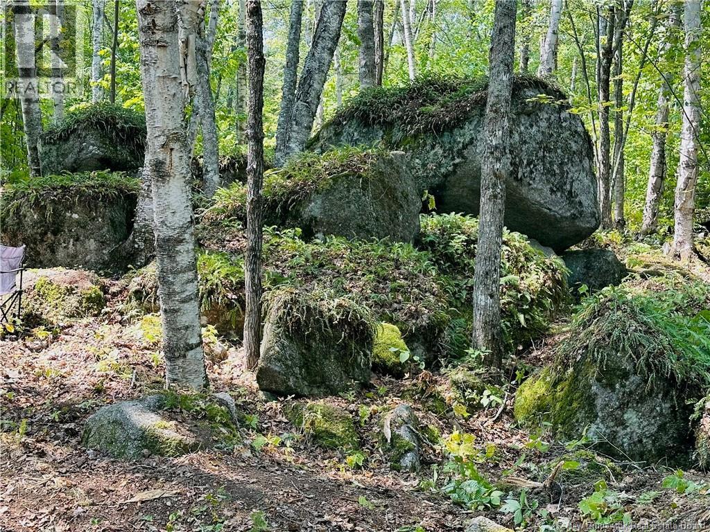 0 Second Eel River Lane, Eel River Lake, New Brunswick  E6H 0A4 - Photo 21 - NB110467