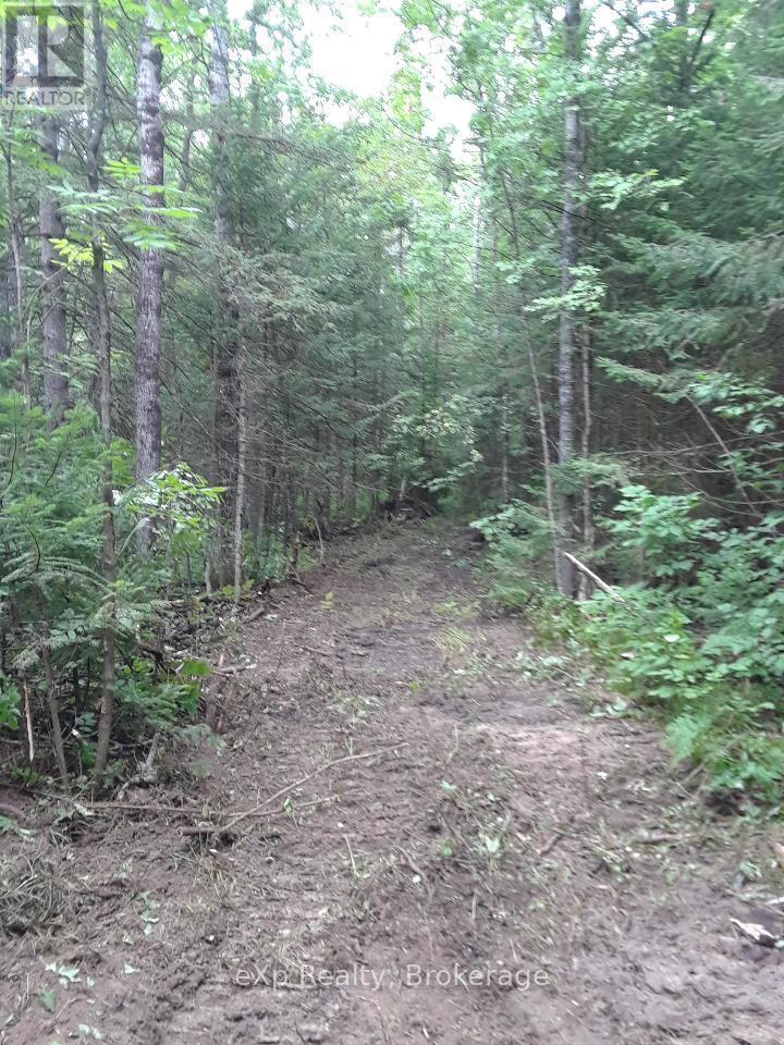 Ptlt1-2 Concession Rd 3, Georgian Bluffs, Ontario  N0H 1G0 - Photo 6 - X12278454