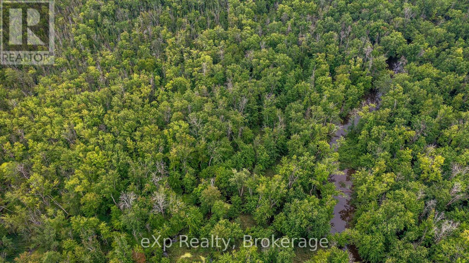 Ptlt1-2 Concession Rd 3, Georgian Bluffs, Ontario  N0H 1G0 - Photo 8 - X12278454