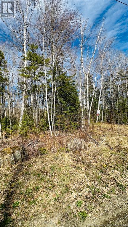 0 Second Eel River Lane, Eel River Lake, New Brunswick  E6H 0A4 - Photo 8 - NB110467