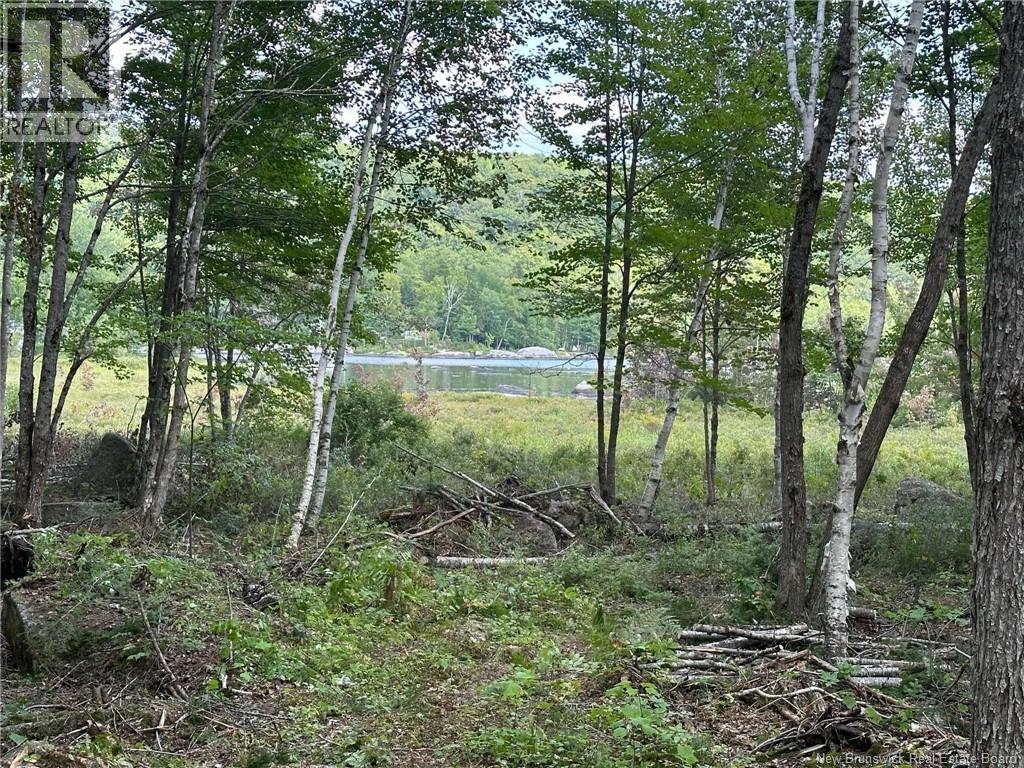 0 Second Eel River Lane, Eel River Lake, New Brunswick  E6H 0A4 - Photo 10 - NB110467