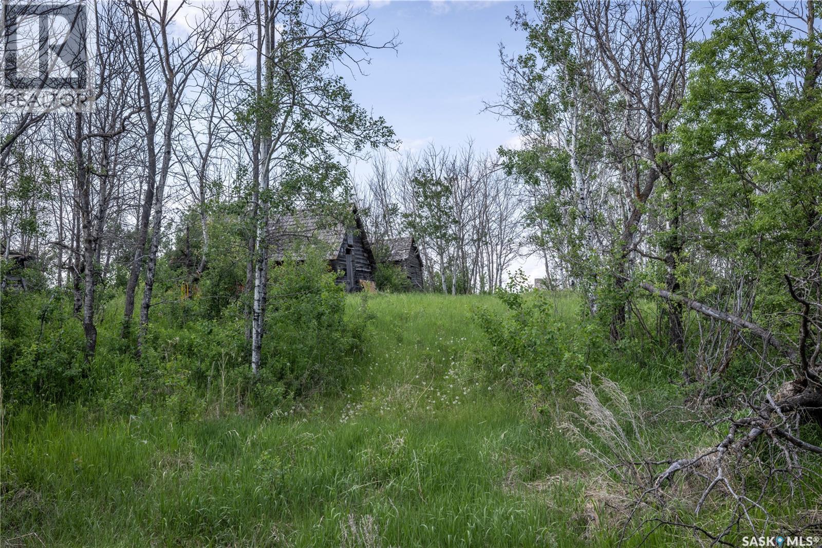 The Morrison Farm, Corman Park Rm No. 344, Saskatchewan  S7K 1X5 - Photo 26 - SK015584