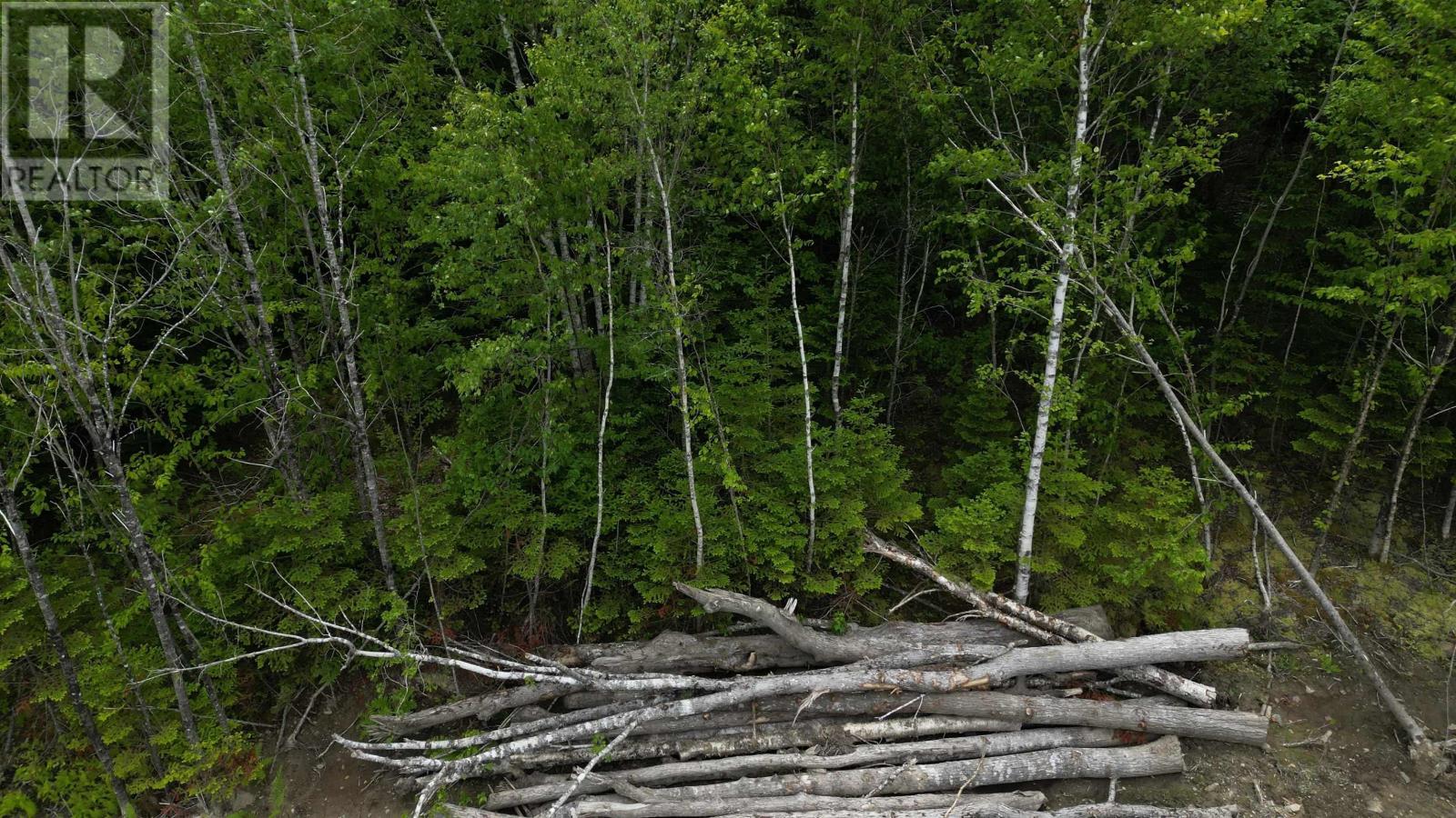 Block 1 Pearl Lane, Lot 11, Lot 15 Pearl Road, Hillsvale, Nova Scotia  B0N 1Z0 - Photo 3 - 202515868