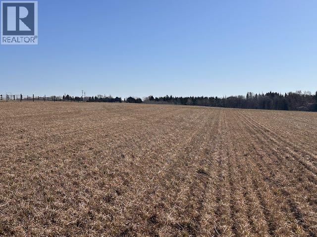 177 Avenue, Rural Foothills County, Alberta  T1S 2B8 - Photo 9 - A2215878