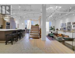 209 - 676 RICHMOND STREET W, Toronto, Ontario