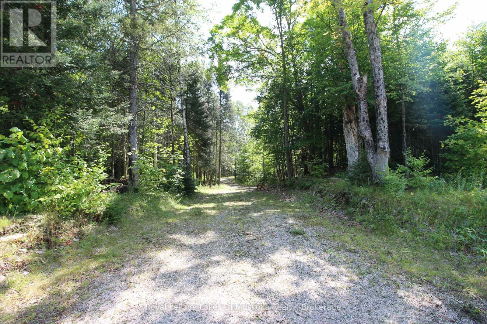 555 Valley View Road, Strong, Ontario  P0A 1Z0 - Photo 10 - X12344517