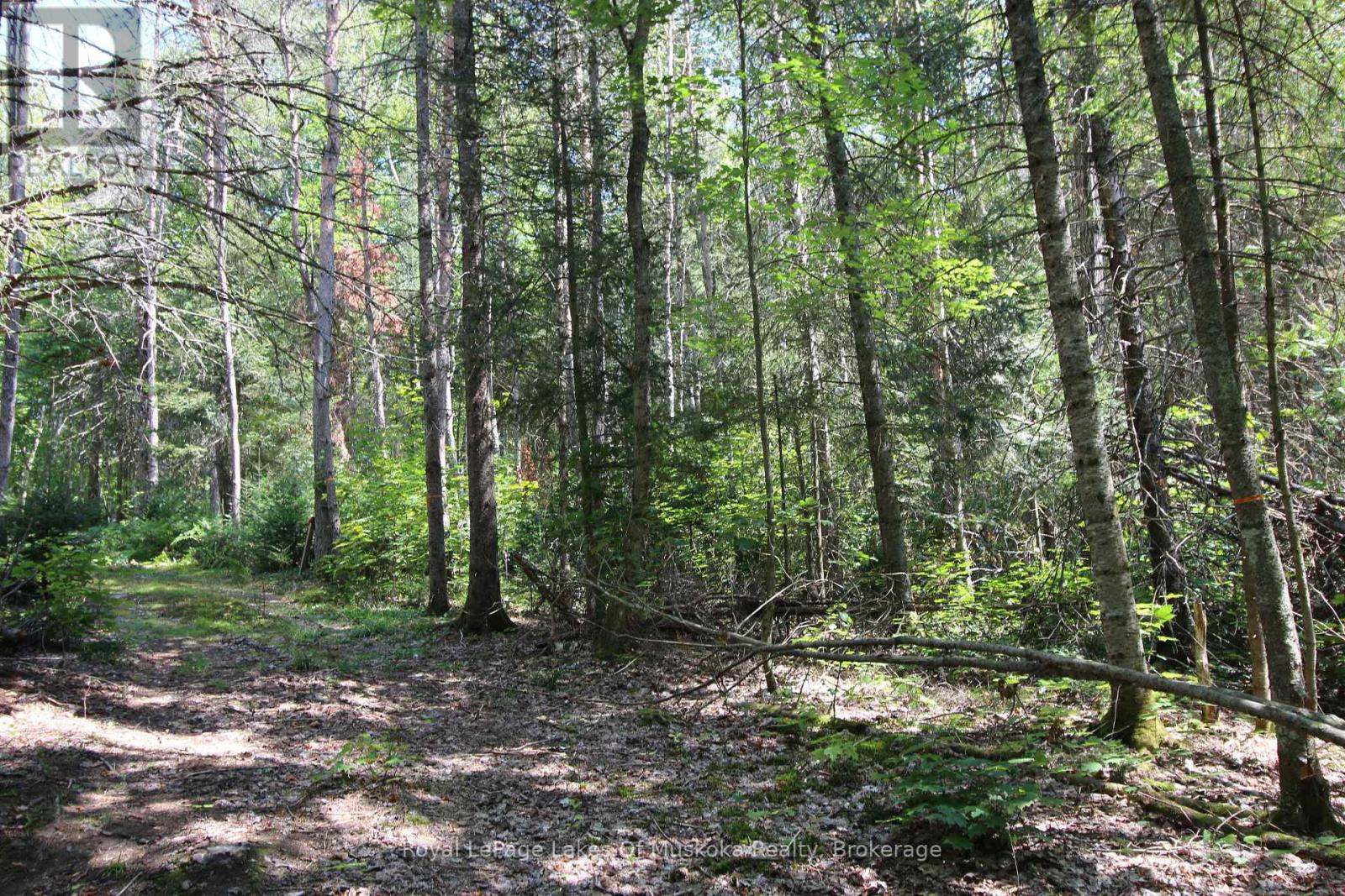 555 Valley View Road, Strong, Ontario  P0A 1Z0 - Photo 13 - X12344517