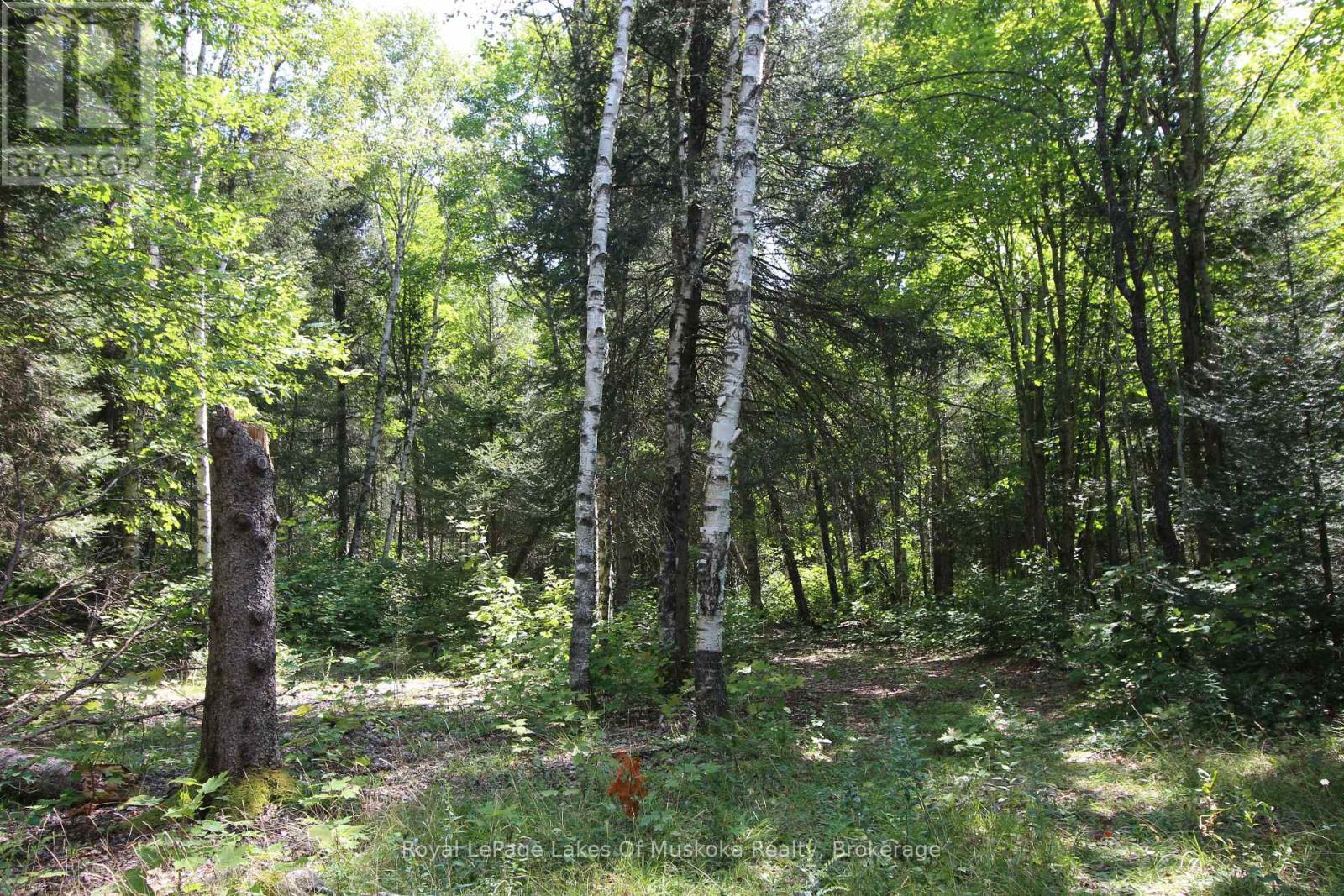 555 Valley View Road, Strong, Ontario  P0A 1Z0 - Photo 14 - X12344517