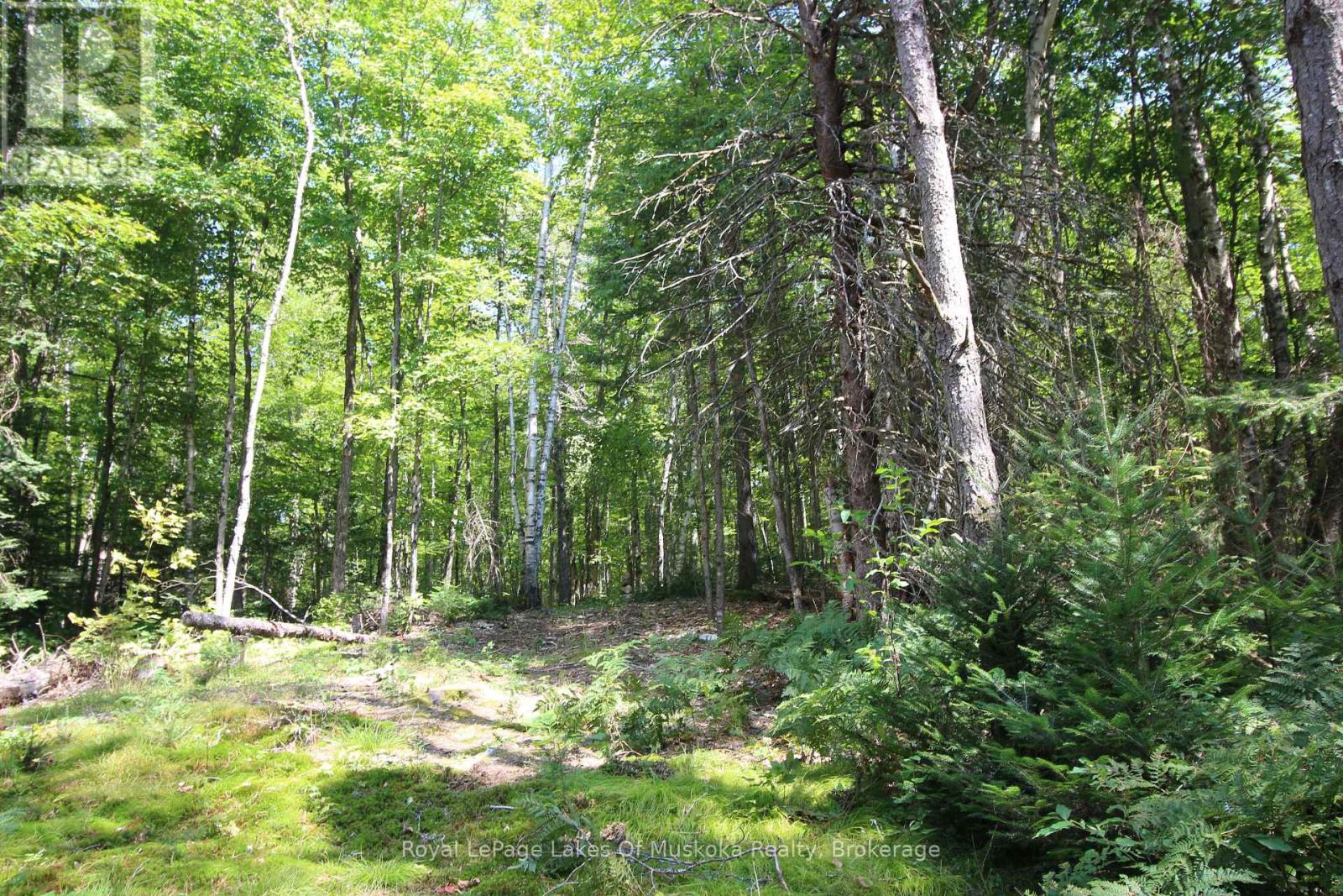 555 Valley View Road, Strong, Ontario  P0A 1Z0 - Photo 20 - X12344517