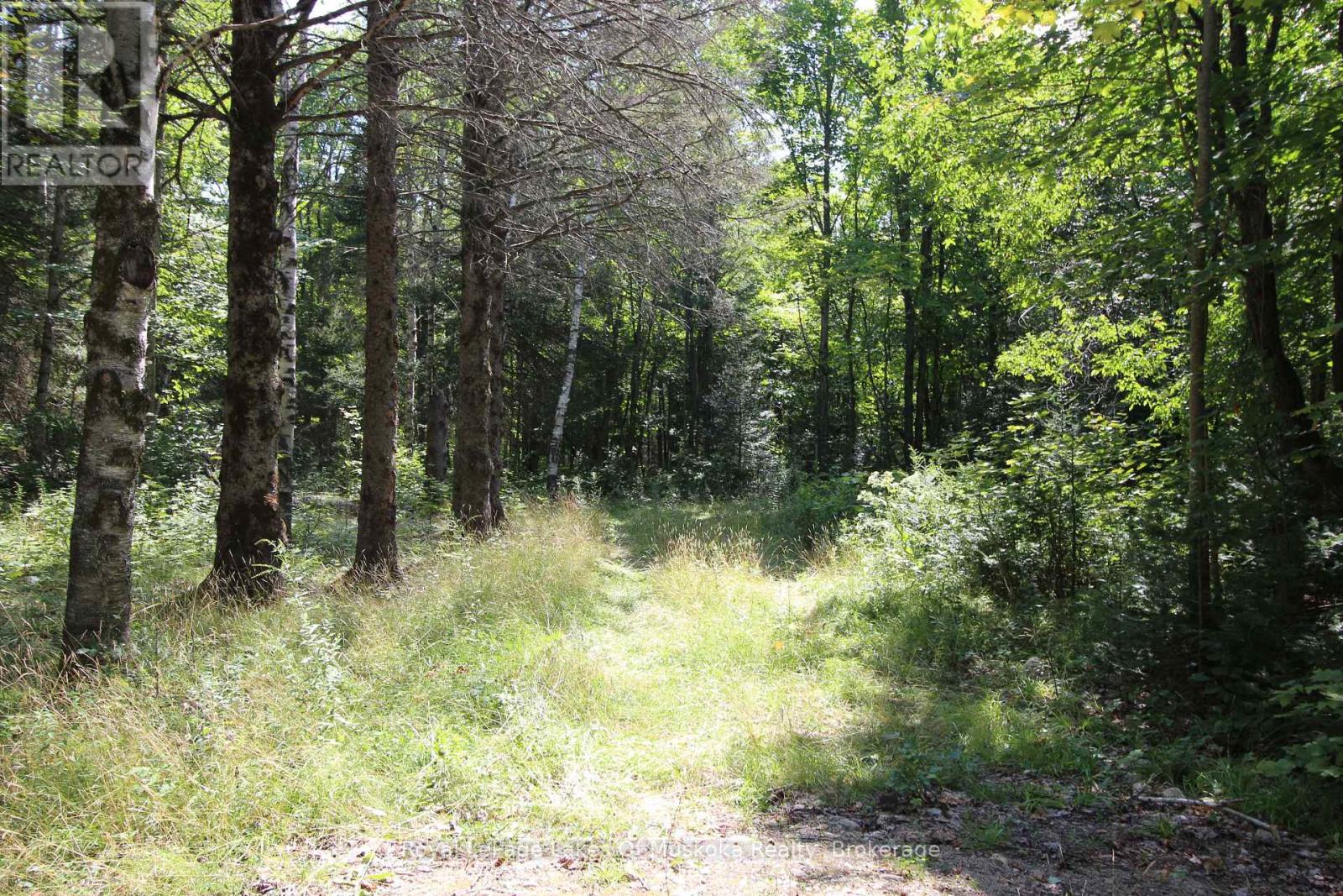 555 Valley View Road, Strong, Ontario  P0A 1Z0 - Photo 21 - X12344517