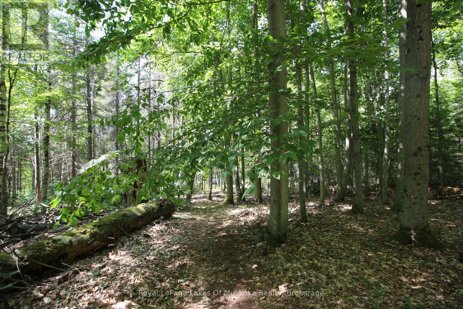 555 Valley View Road, Strong, Ontario  P0A 1Z0 - Photo 22 - X12344517