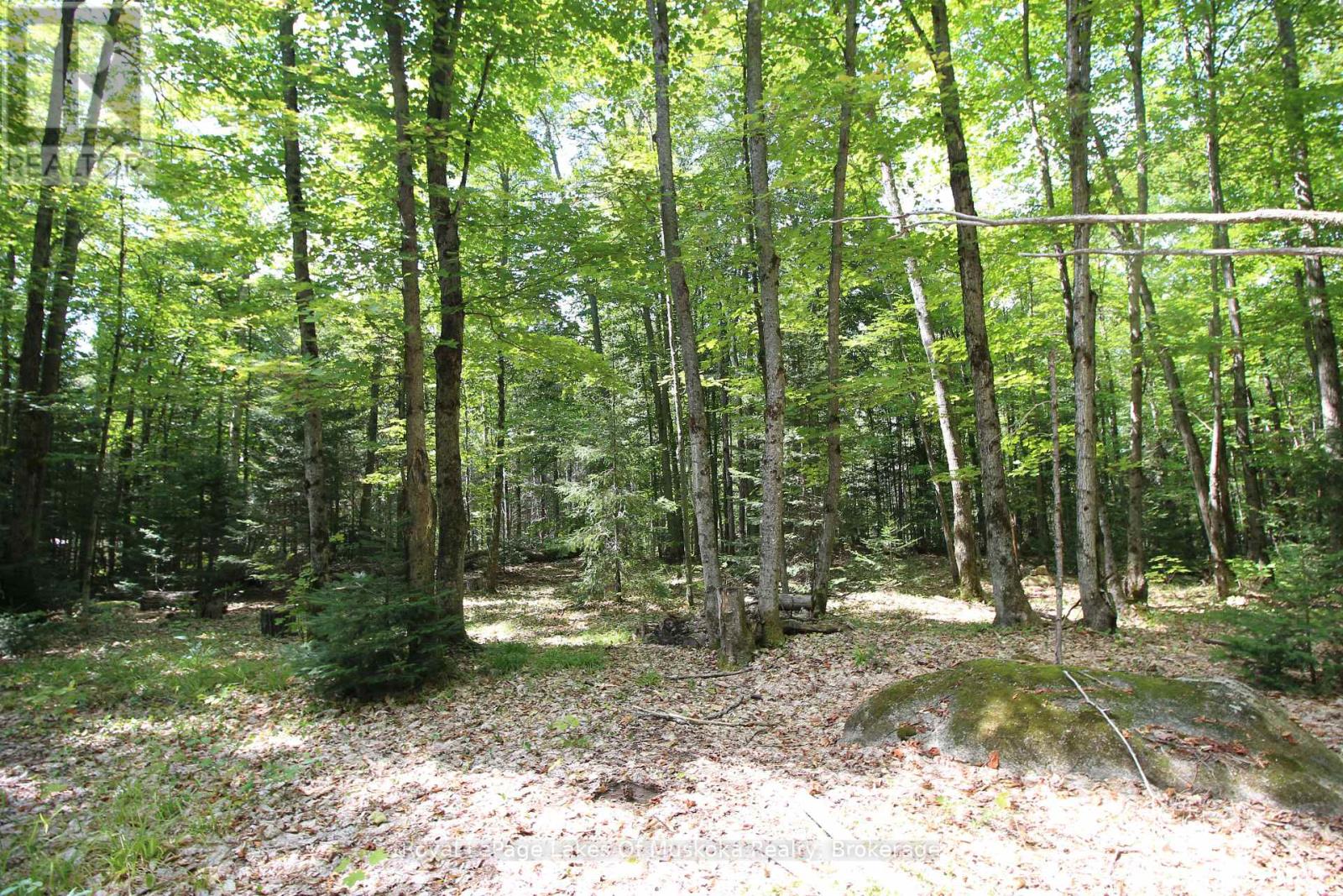 555 Valley View Road, Strong, Ontario  P0A 1Z0 - Photo 23 - X12344517