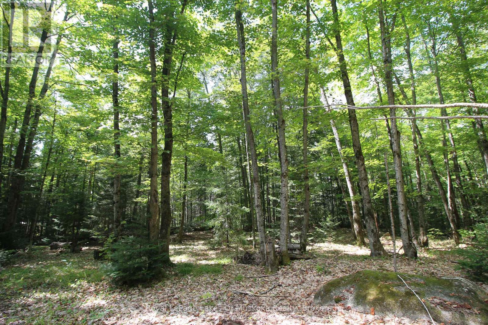 555 Valley View Road, Strong, Ontario  P0A 1Z0 - Photo 24 - X12344517