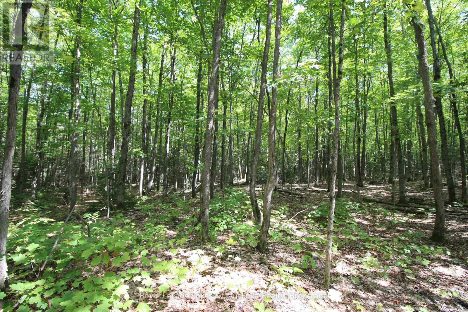 555 Valley View Road, Strong, Ontario  P0A 1Z0 - Photo 25 - X12344517