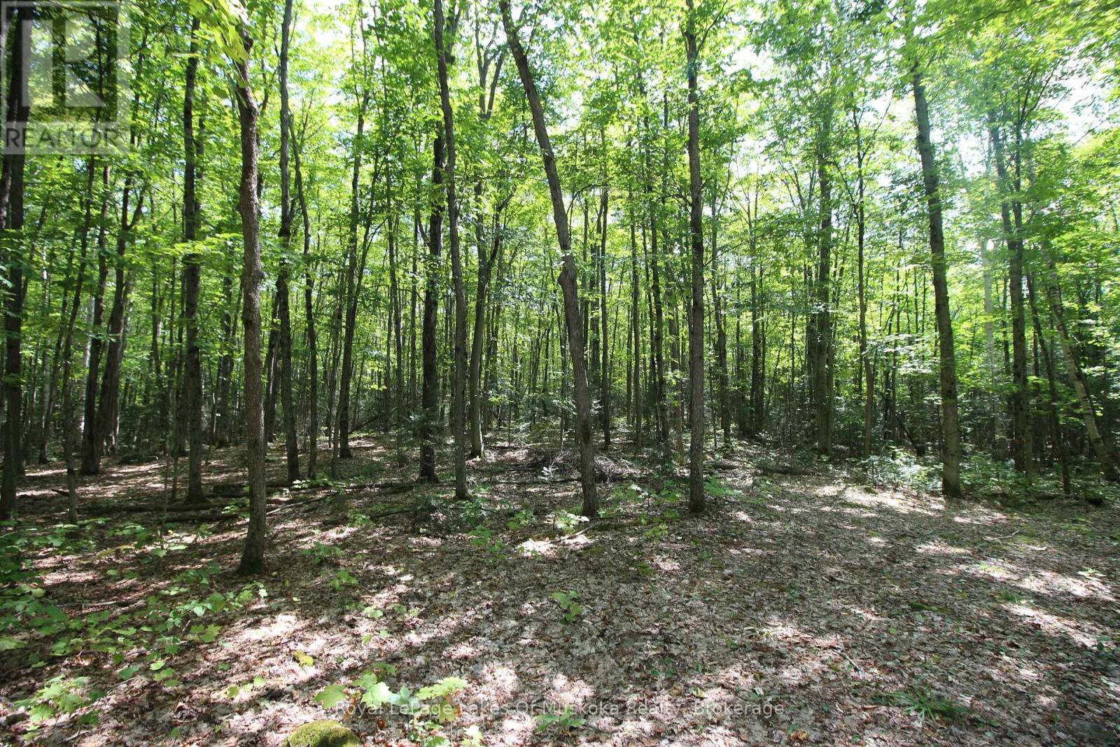 555 Valley View Road, Strong, Ontario  P0A 1Z0 - Photo 26 - X12344517