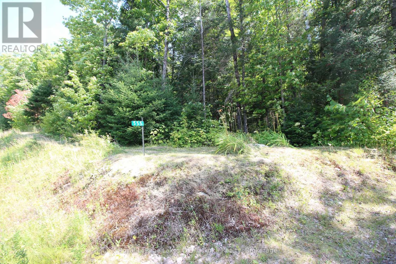 555 Valley View Road, Strong, Ontario  P0A 1Z0 - Photo 3 - X12344517