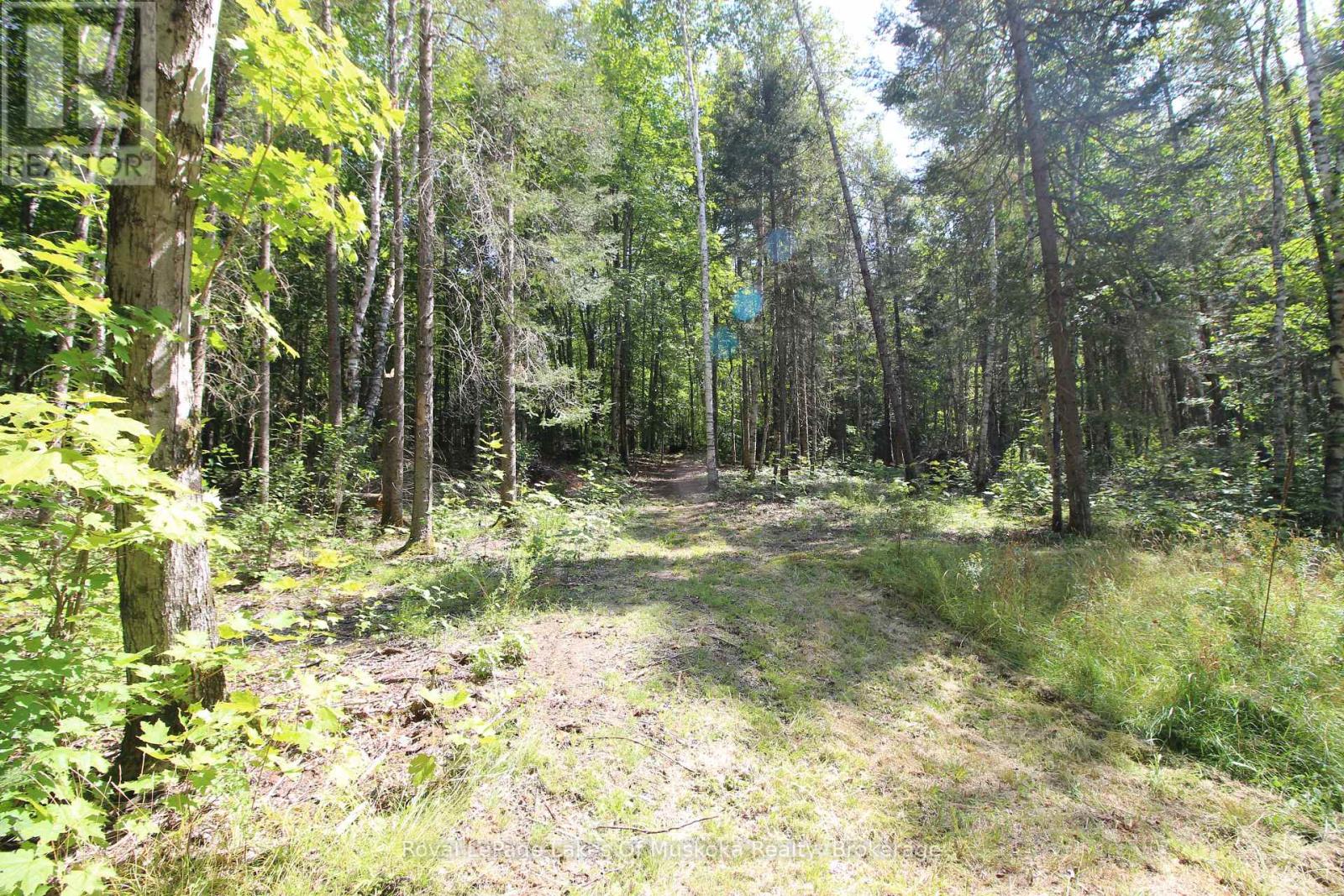 555 Valley View Road, Strong, Ontario  P0A 1Z0 - Photo 30 - X12344517
