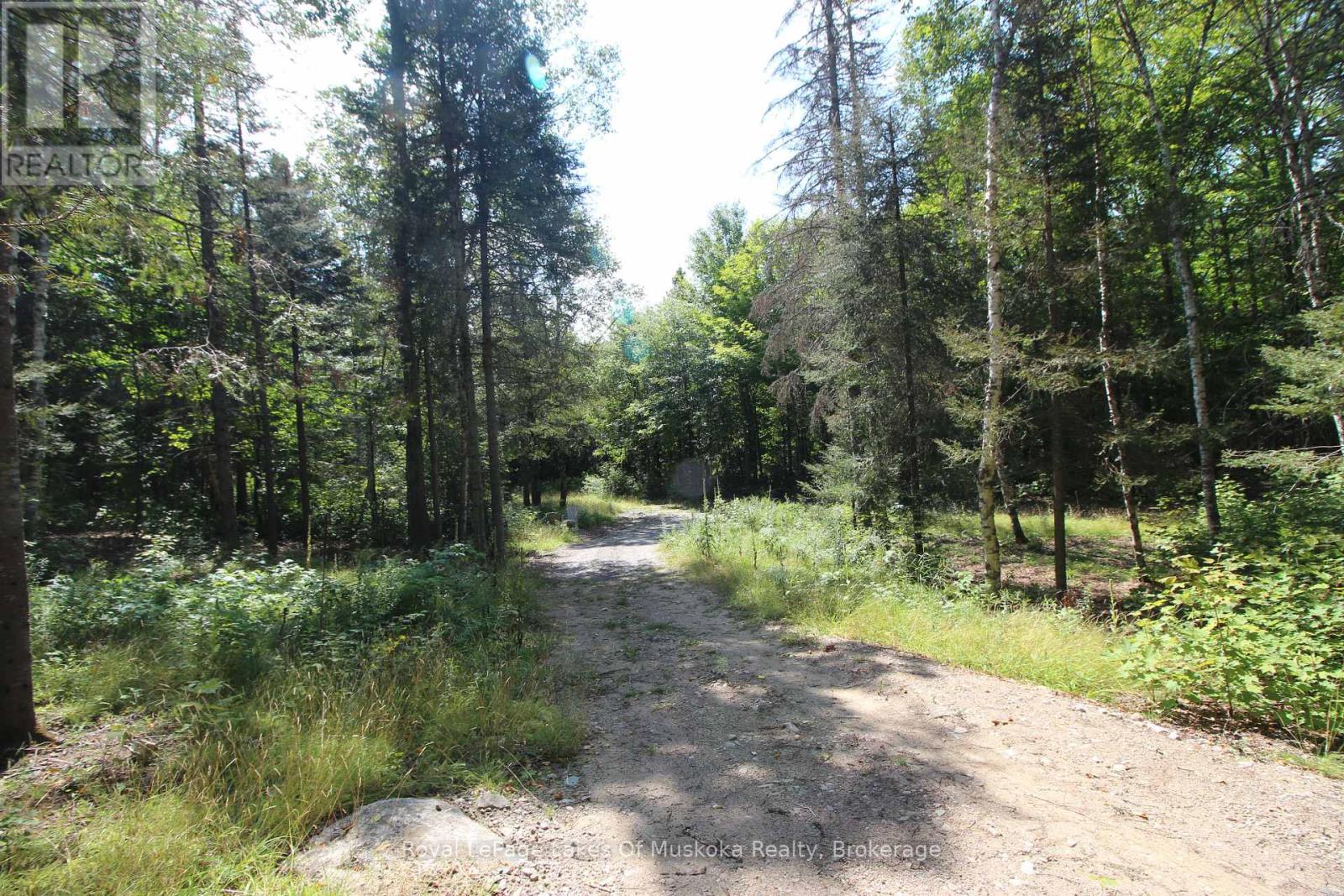 555 Valley View Road, Strong, Ontario  P0A 1Z0 - Photo 31 - X12344517