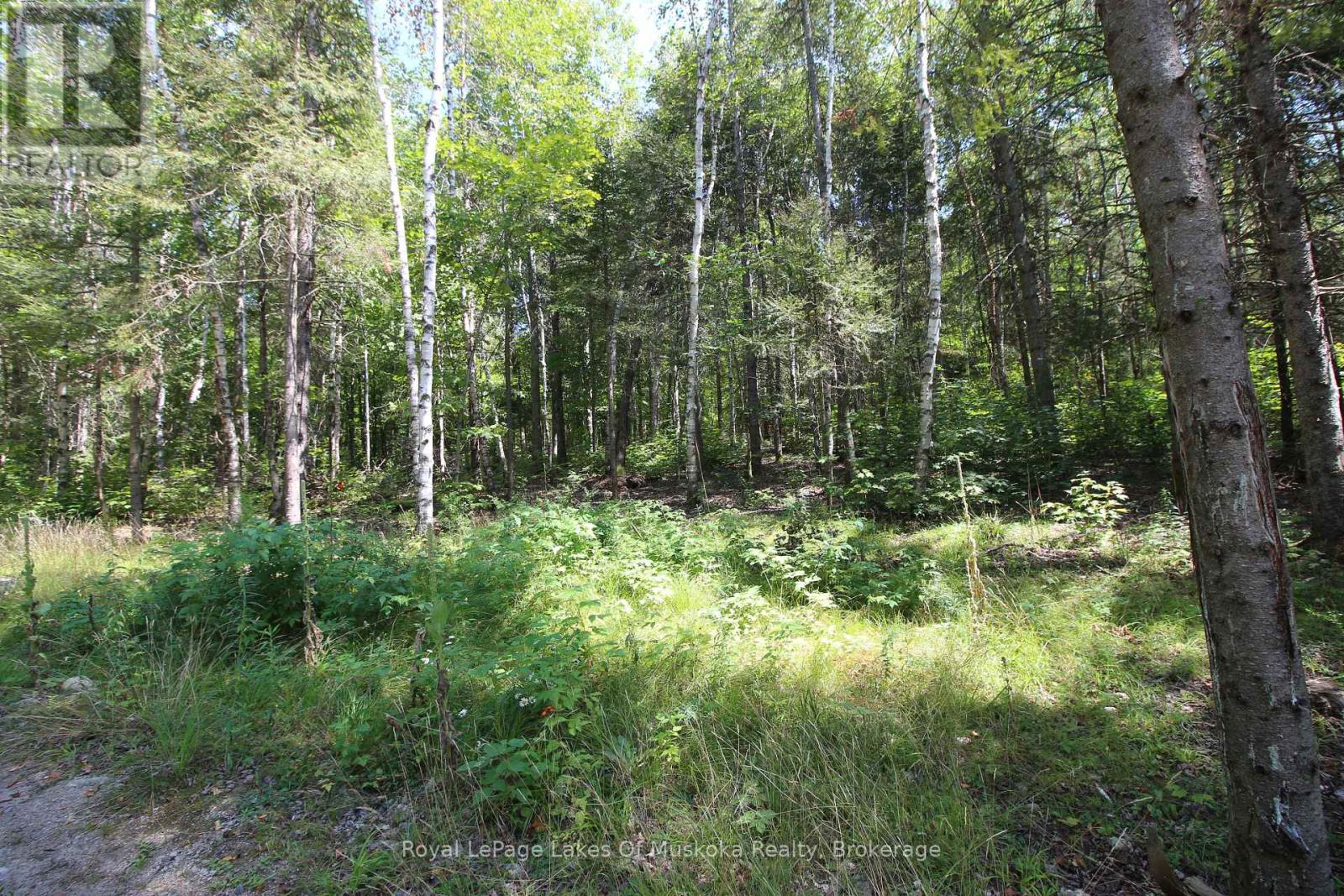 555 Valley View Road, Strong, Ontario  P0A 1Z0 - Photo 32 - X12344517