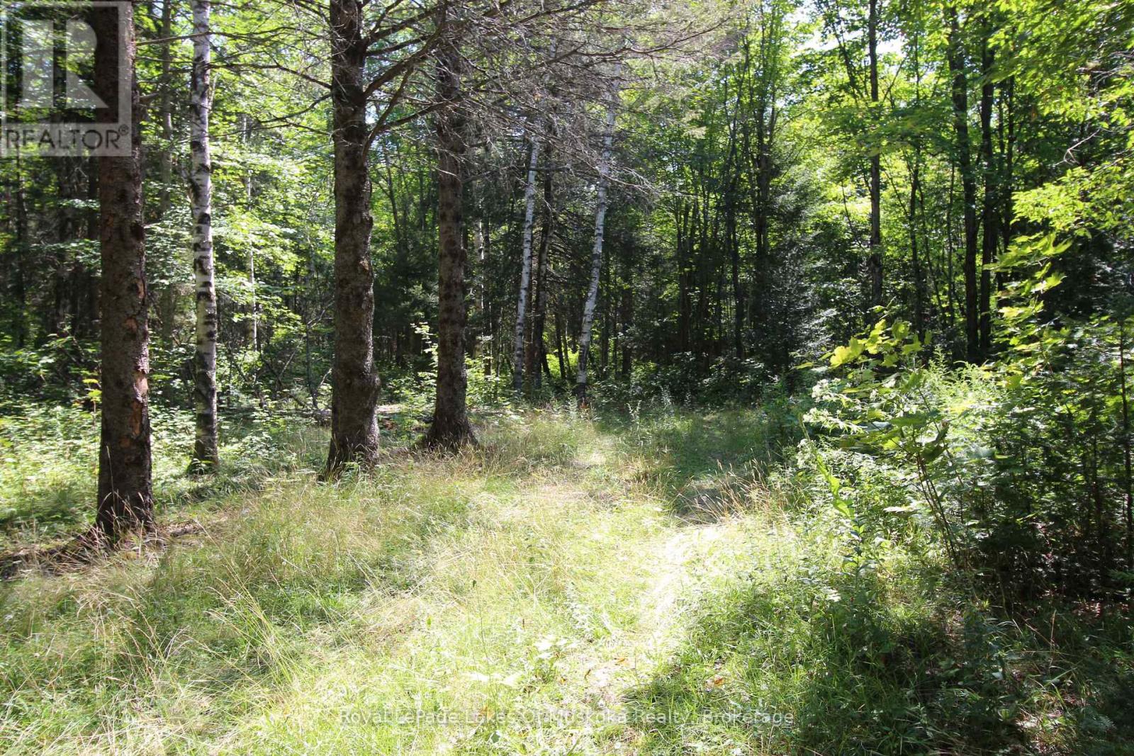 555 Valley View Road, Strong, Ontario  P0A 1Z0 - Photo 34 - X12344517