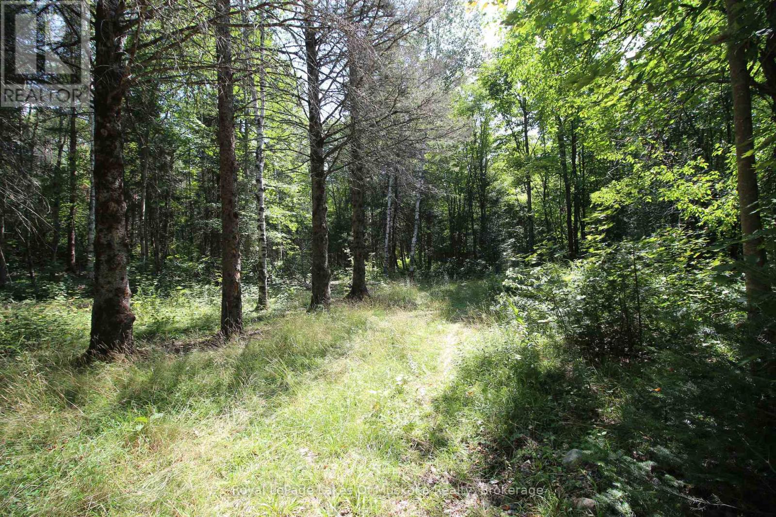 555 Valley View Road, Strong, Ontario  P0A 1Z0 - Photo 35 - X12344517