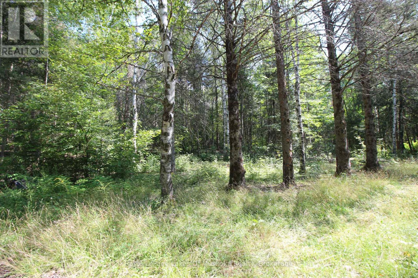555 Valley View Road, Strong, Ontario  P0A 1Z0 - Photo 36 - X12344517