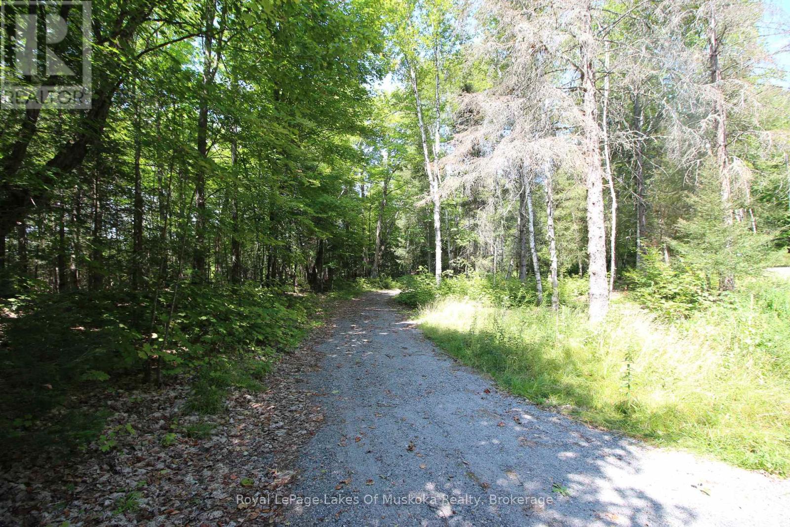 555 Valley View Road, Strong, Ontario  P0A 1Z0 - Photo 37 - X12344517