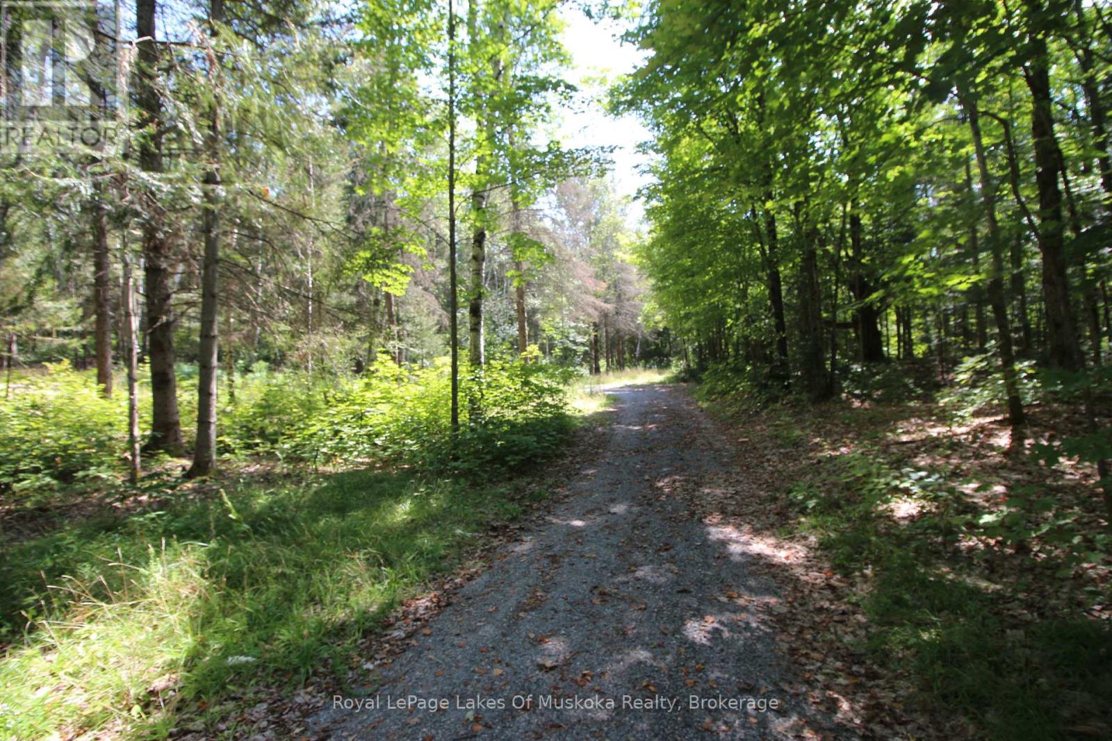 555 Valley View Road, Strong, Ontario  P0A 1Z0 - Photo 39 - X12344517