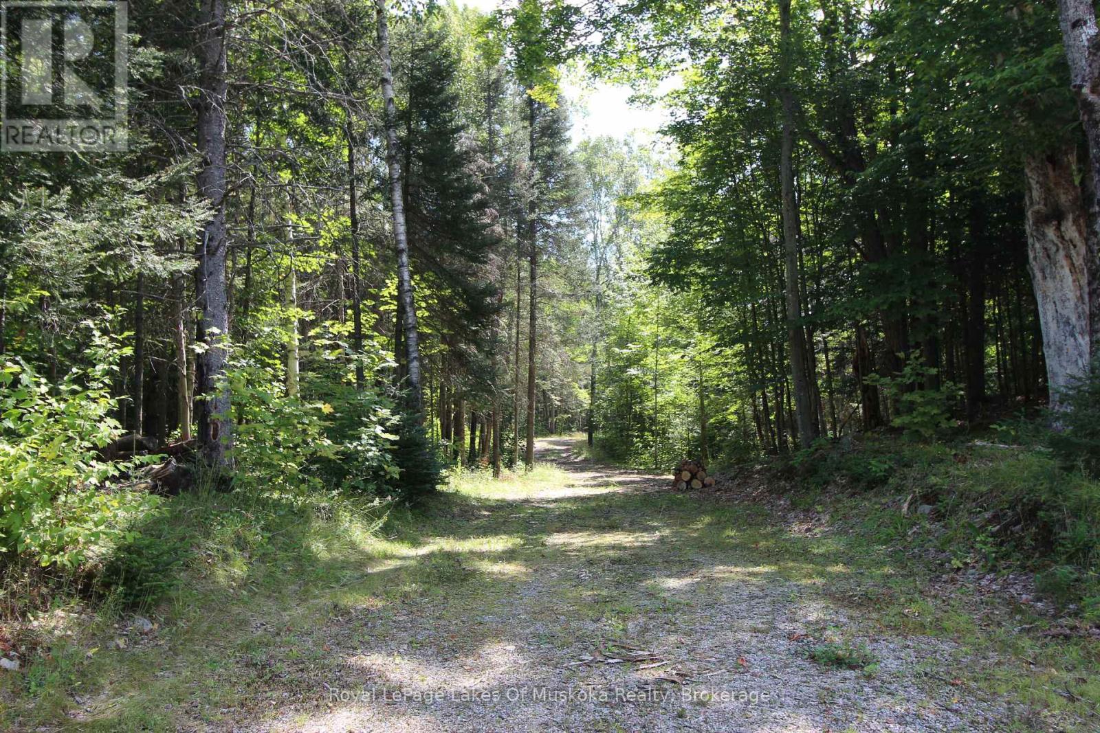 555 Valley View Road, Strong, Ontario  P0A 1Z0 - Photo 9 - X12344517