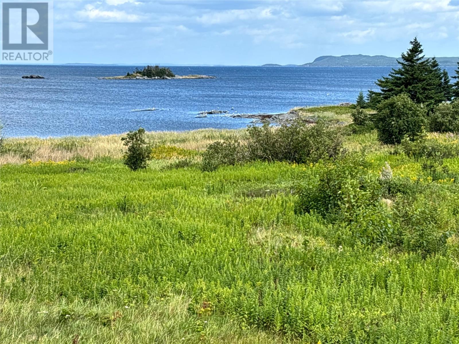 37 Tibbeys Point Road, Victoria Cove, Newfoundland & Labrador  A0G 4N0 - Photo 35 - 1289206