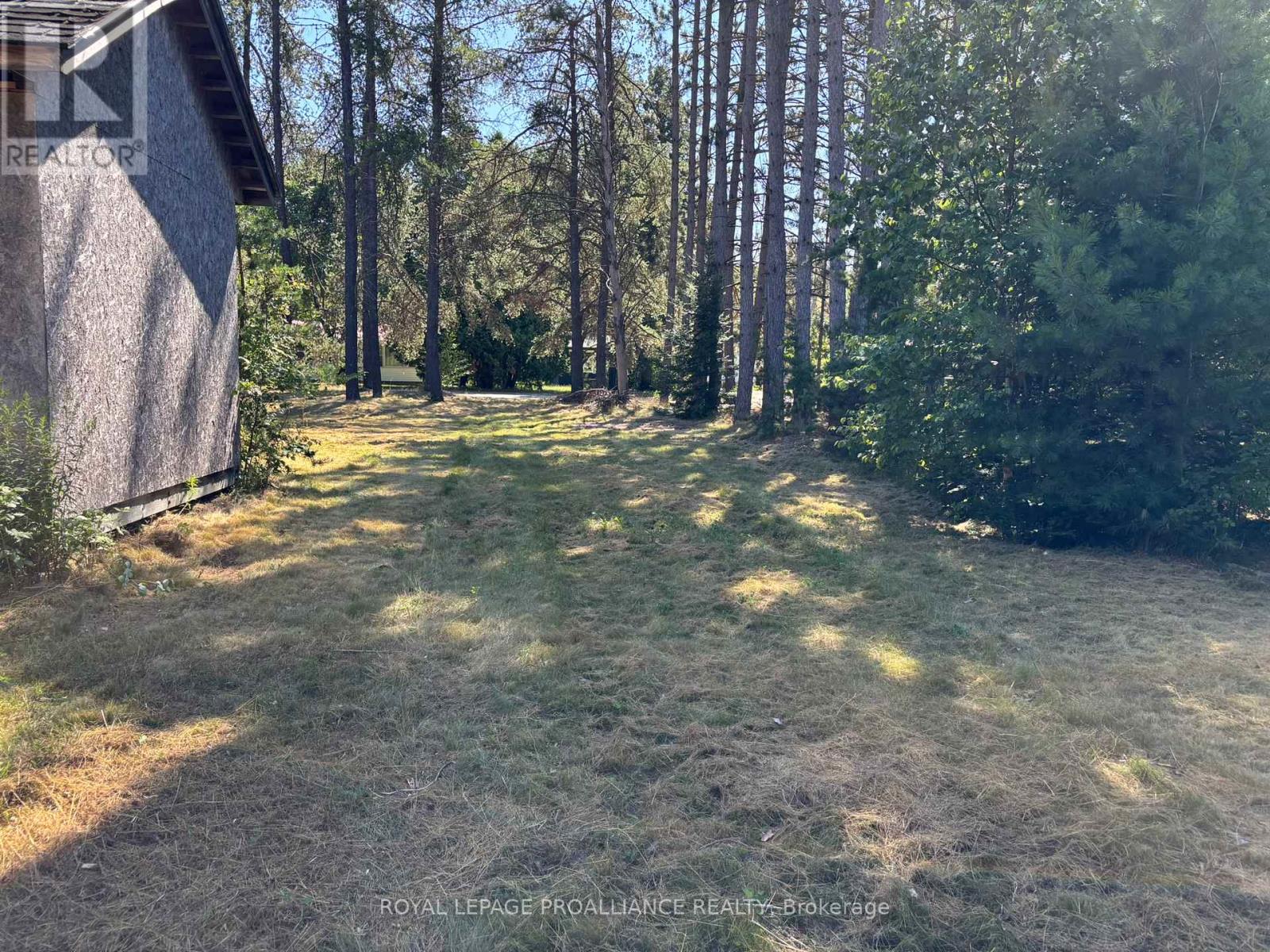 49 Second Avenue, South Algonquin, Ontario  K0J 2M0 - Photo 11 - X12344563