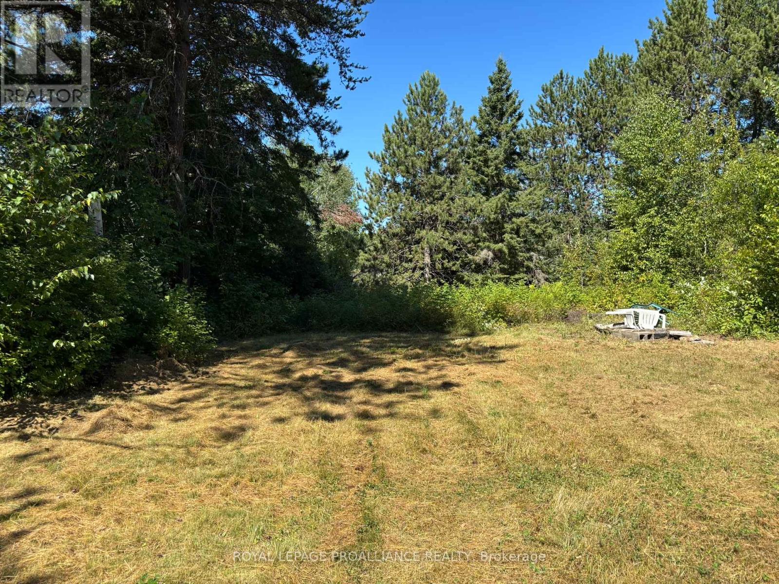 49 Second Avenue, South Algonquin, Ontario  K0J 2M0 - Photo 12 - X12344563