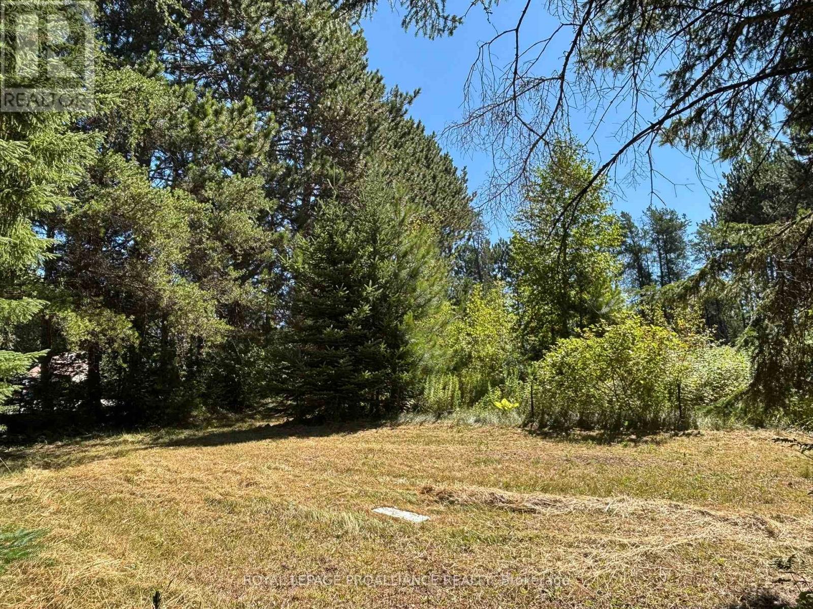 49 Second Avenue, South Algonquin, Ontario  K0J 2M0 - Photo 16 - X12344563