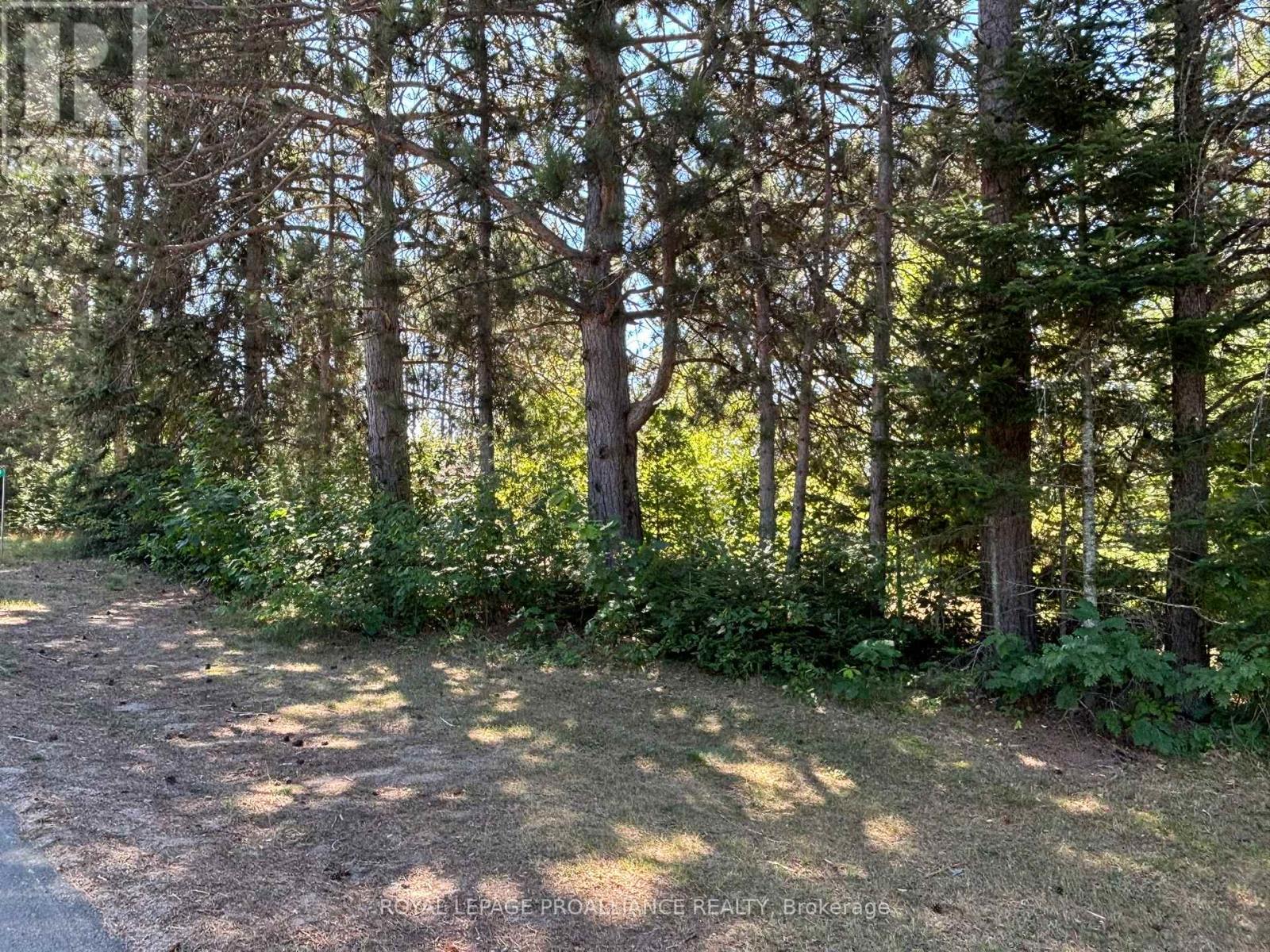 49 Second Avenue, South Algonquin, Ontario  K0J 2M0 - Photo 21 - X12344563