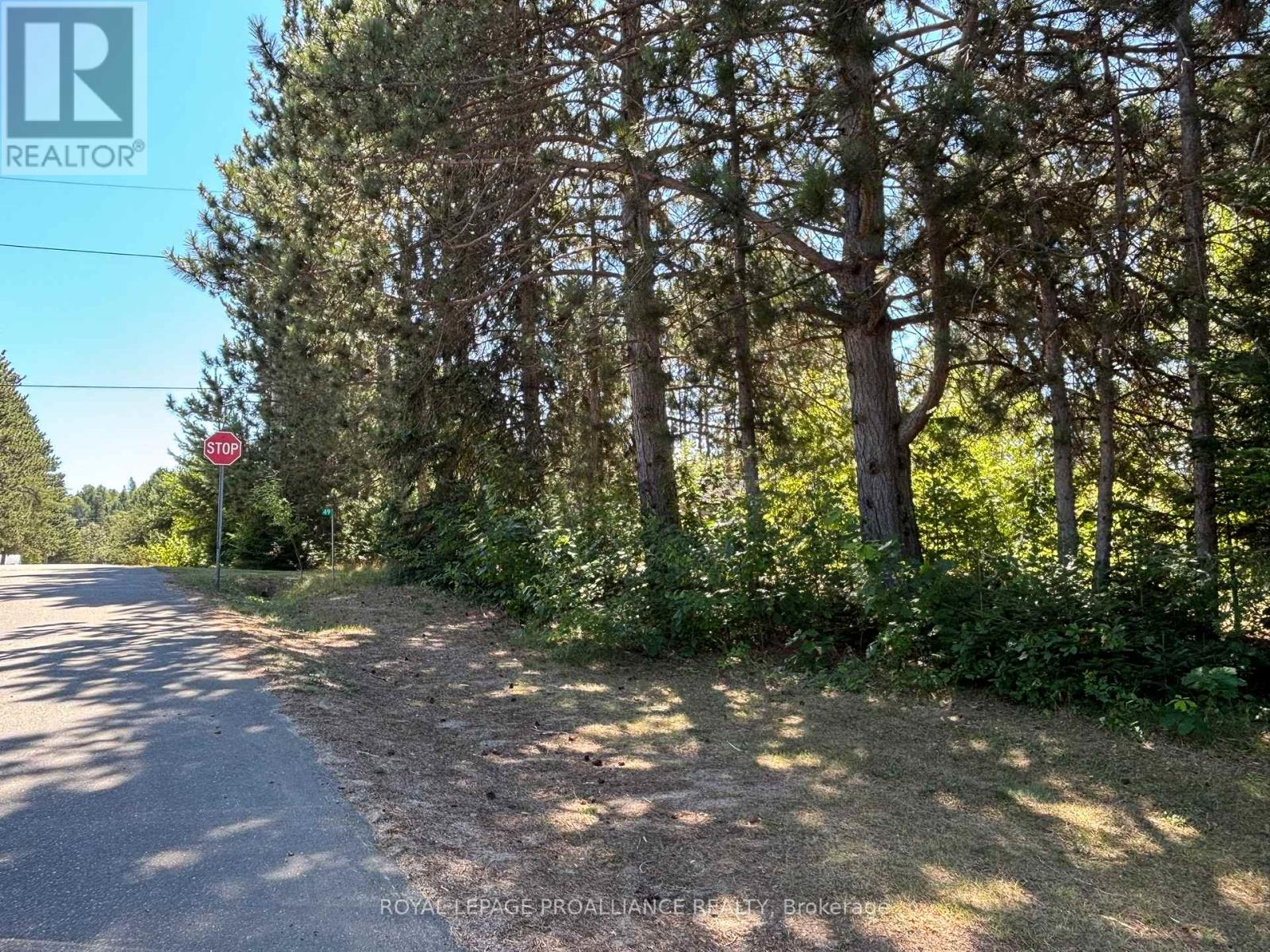 49 Second Avenue, South Algonquin, Ontario  K0J 2M0 - Photo 22 - X12344563