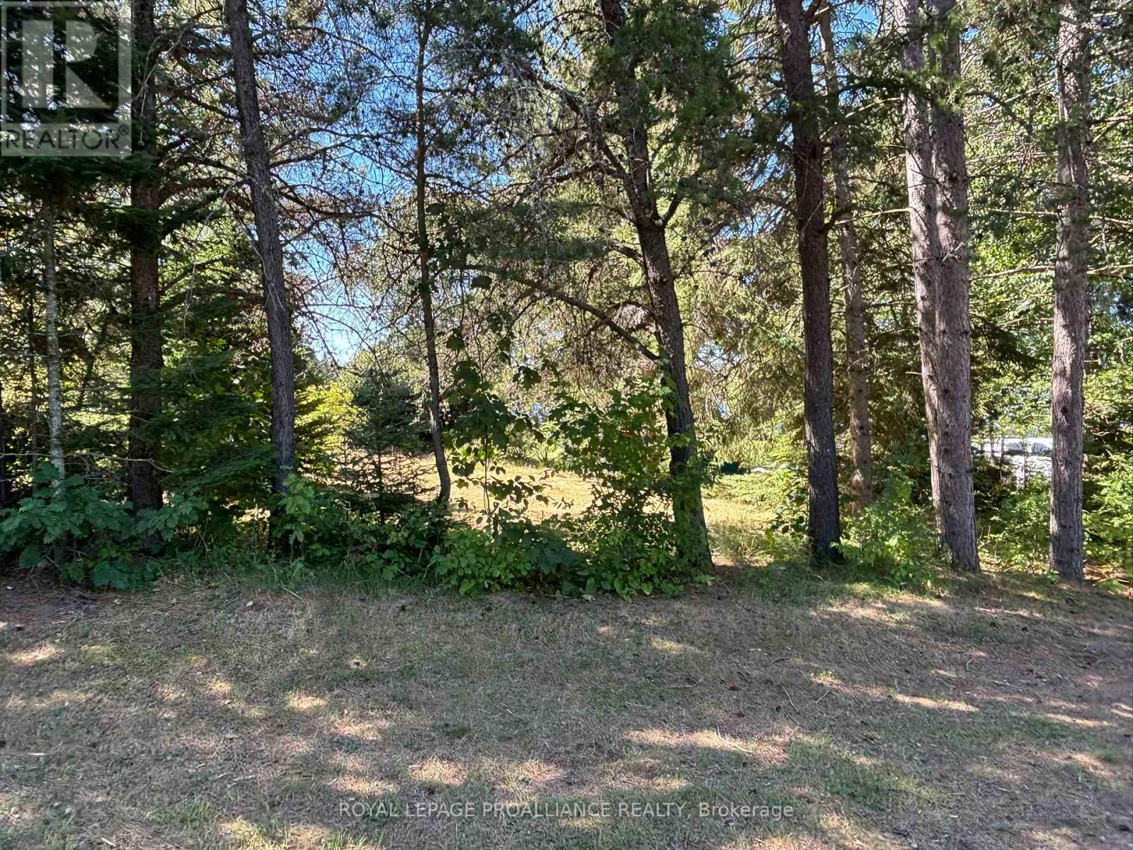 49 Second Avenue, South Algonquin, Ontario  K0J 2M0 - Photo 23 - X12344563