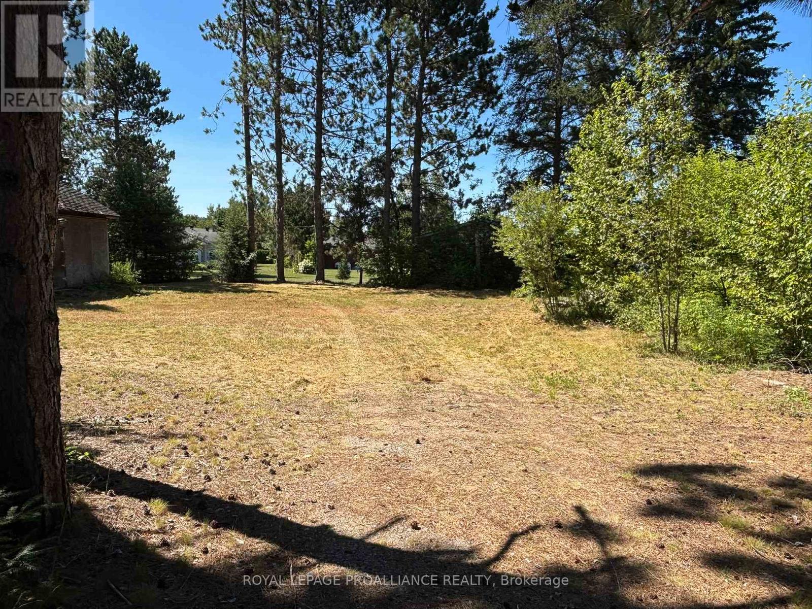 49 Second Avenue, South Algonquin, Ontario  K0J 2M0 - Photo 24 - X12344563